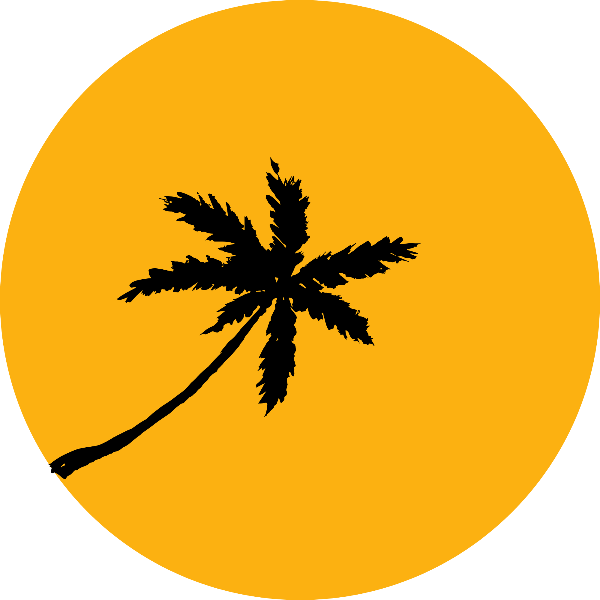 RWR Certification Logo